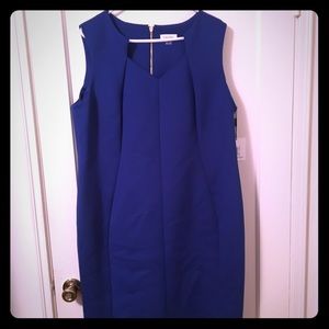 *SALE*NWT royal blue Calvin Klein Sheath Dress 20w
